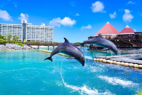 luxury hotels in Okinawa Island - North