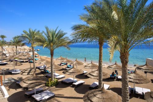 luxury hotels in Red Sea