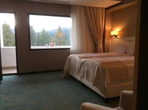 luxury hotels in Prahova