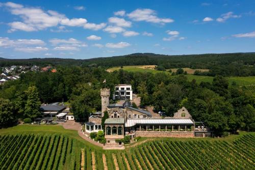 luxury hotels in Taunus