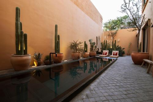 luxury hotels in Oaxaca