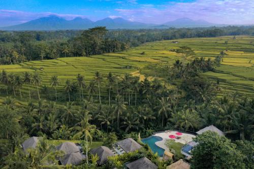 luxury hotels in Ubud