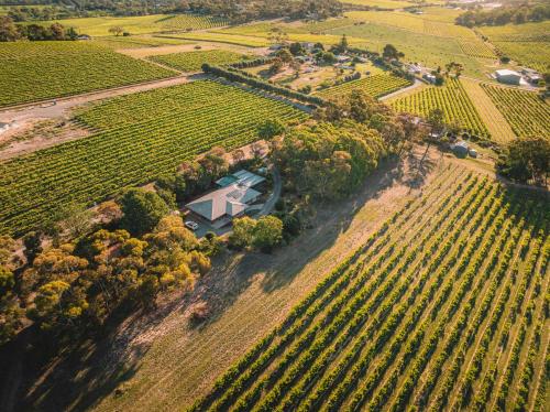 Vineyard Retreat in the Heart of McLaren Vale