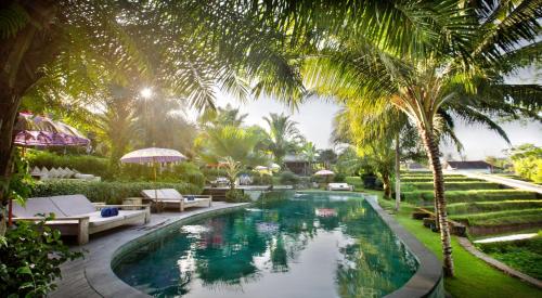 luxury hotels in Ubud