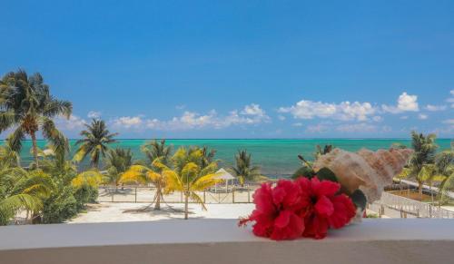 luxury hotels in Caye Caulker