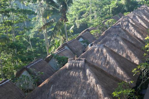 luxury hotels in Ubud