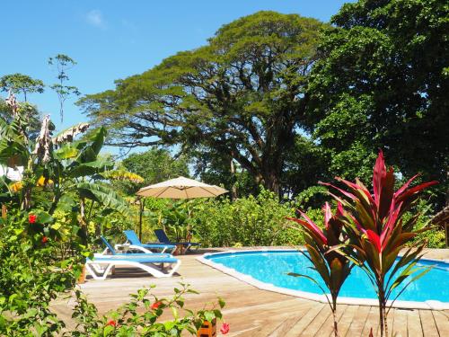 luxury hotels in Puerto Viejo