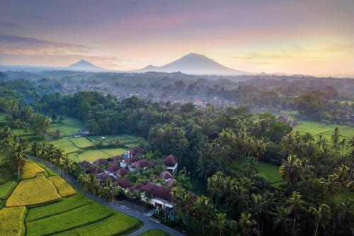 luxury hotels in Ubud