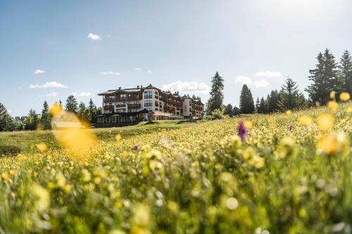 luxury hotels in Alpe Di Siusi