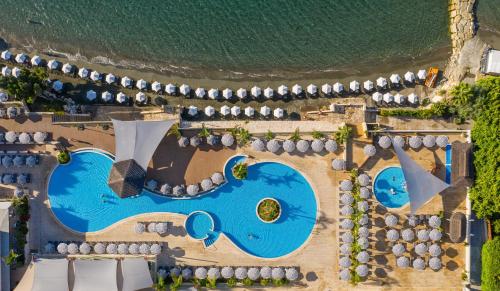 luxury hotels in Limassol