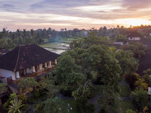 luxury hotels in Ubud