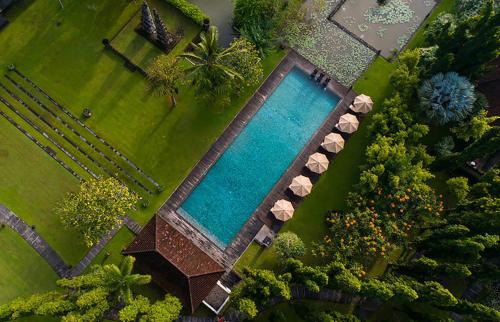 luxury hotels in Ubud