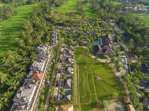 luxury hotels in Ubud