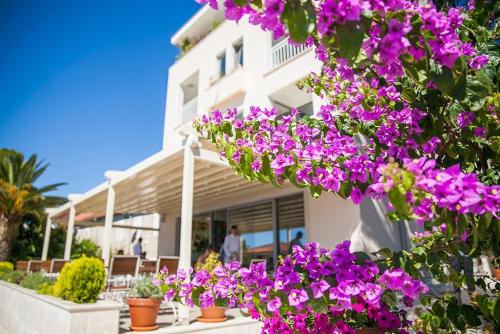 luxury hotels in Tivat