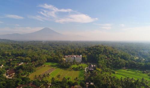 luxury hotels in Java