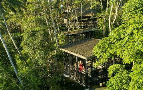 luxury hotels in Ubud