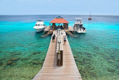 Divi Flamingo Beach Resort