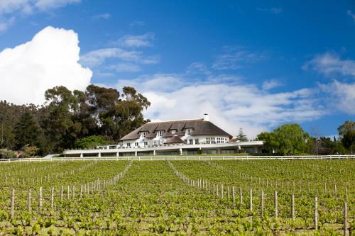 luxury hotels in Franschhoek