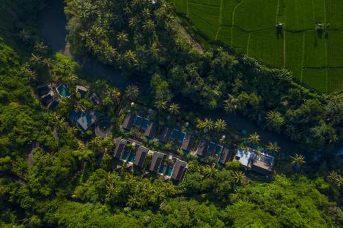 luxury hotels in Ubud