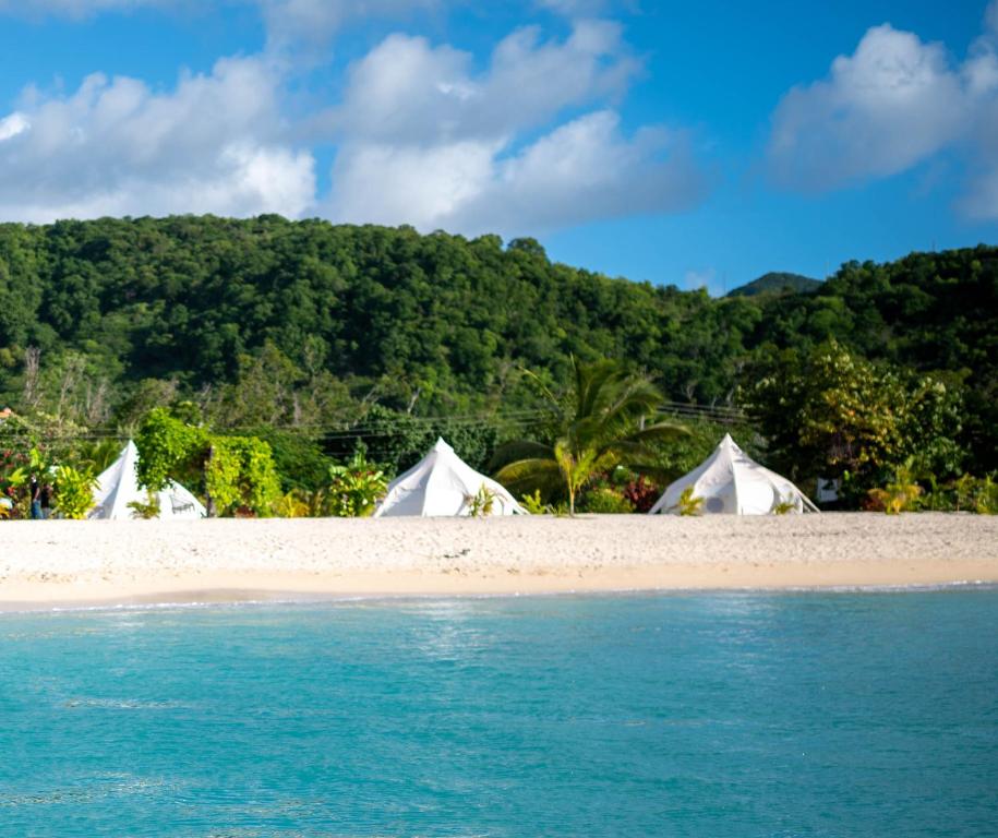 Wild Lotus Glamping