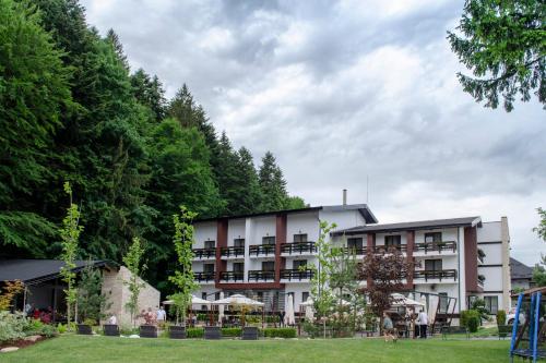 luxury hotels in Vatra Dornei