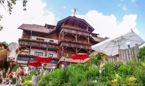 luxury hotels in Bad Kleinkirchheim - Nock Mountains National Park