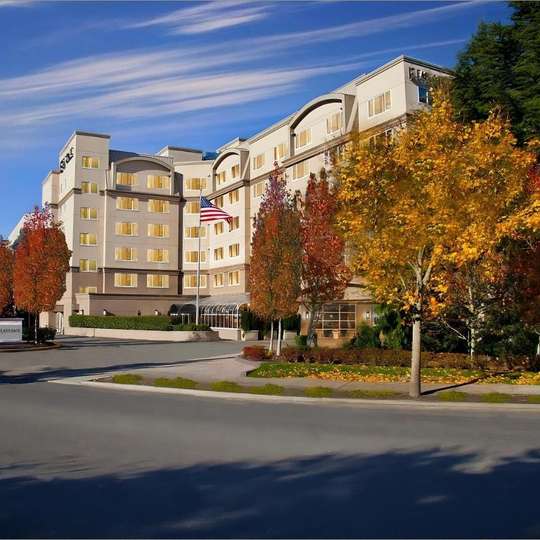 luxury hotels in Bellevue