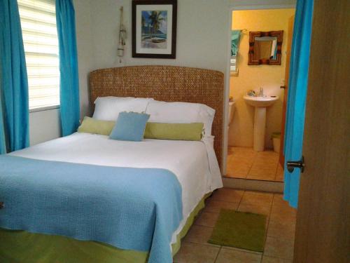 luxury hotels in North Puerto Rico