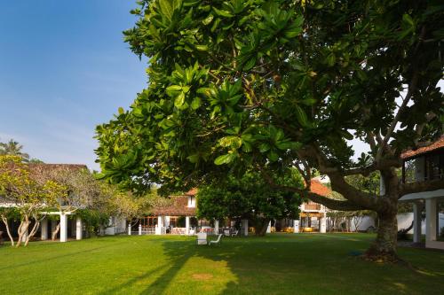 luxury hotels in Bentota