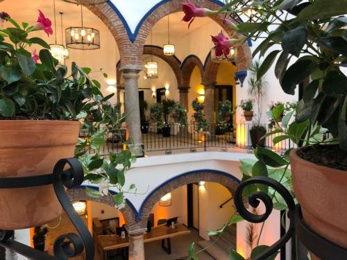 luxury hotels in Atlixco