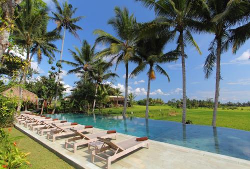 luxury hotels in Ubud