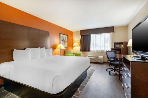Best Western Inn & Suites New Braunfels