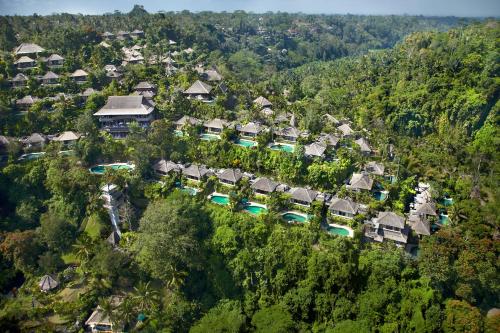 luxury hotels in Ubud