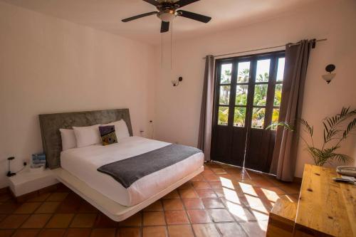 luxury hotels in Todos Santos