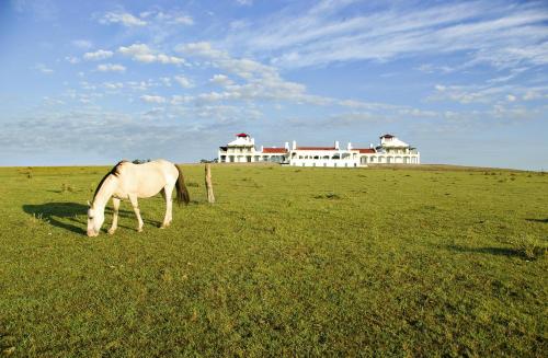 luxury hotels in Punta Del Este And Vicinity