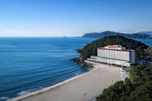 luxury hotels in Busan