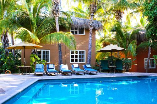 luxury hotels in Todos Santos