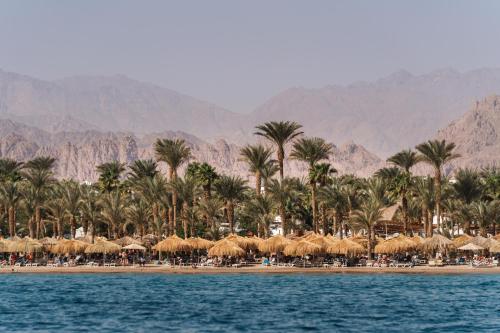 JAZ Fayrouz