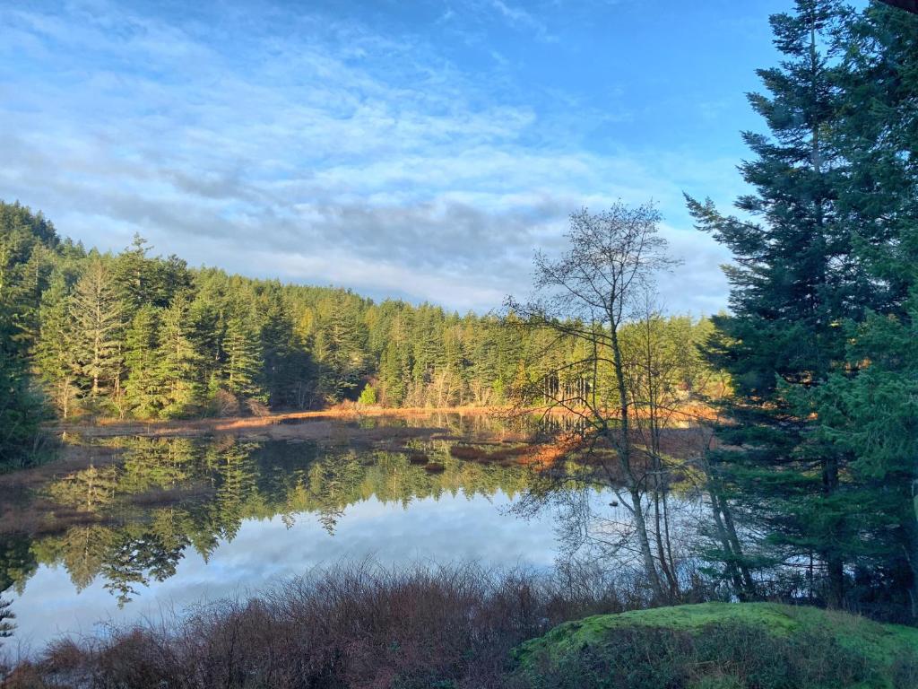 Otter's Pond Bed and Breakfast