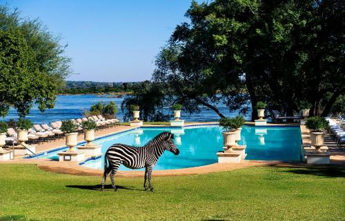 luxury hotels in Victoria Falls