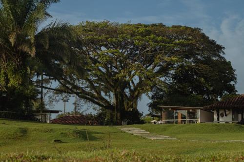 luxury hotels in Quindio