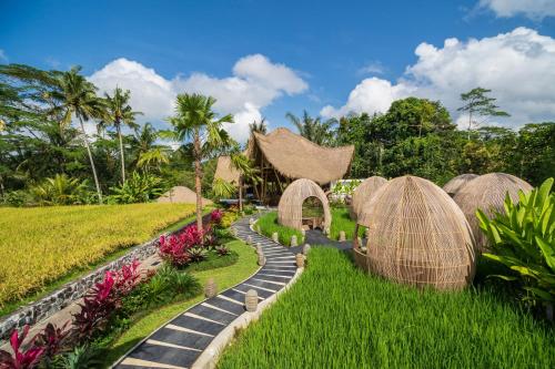 luxury hotels in Ubud