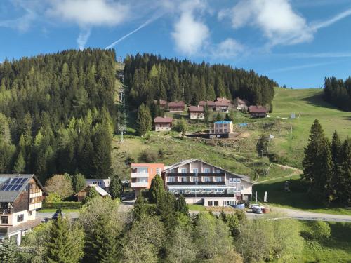 luxury hotels in Carinthia