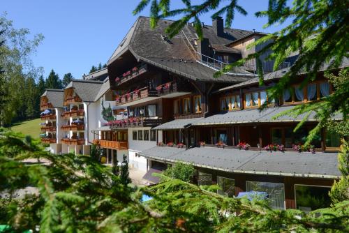 luxury hotels in Hinterzarten