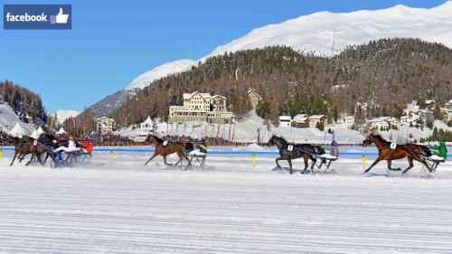 Hotel Waldhaus am See