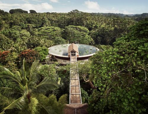 luxury hotels in Ubud