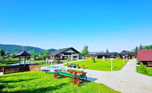 luxury hotels in Vatra Dornei