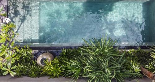 luxury hotels in Canggu