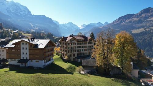 Historic Hotel Falken