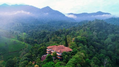 luxury hotels in Kerala